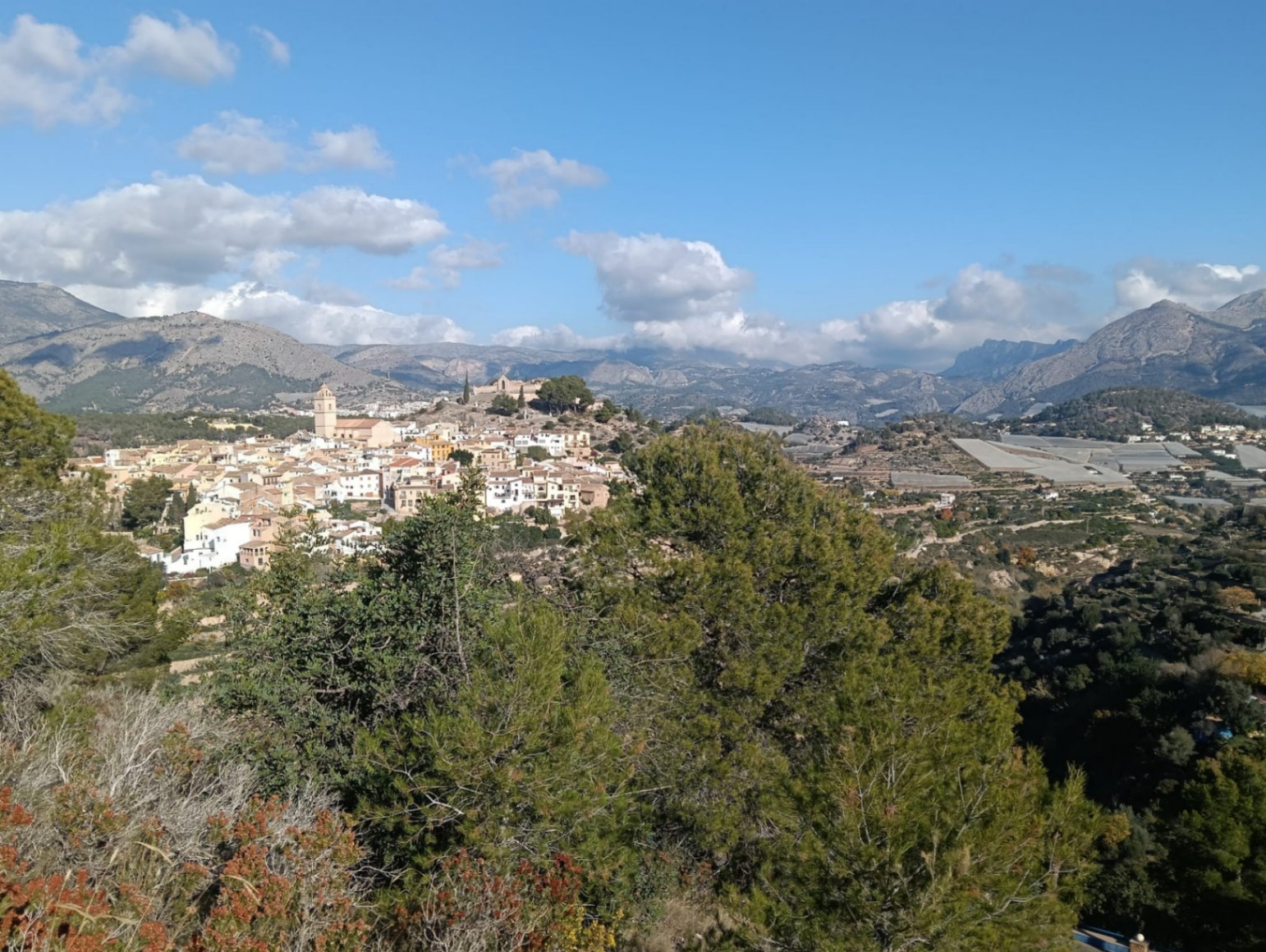 Investment property – a spacious villa with a large plot of land.