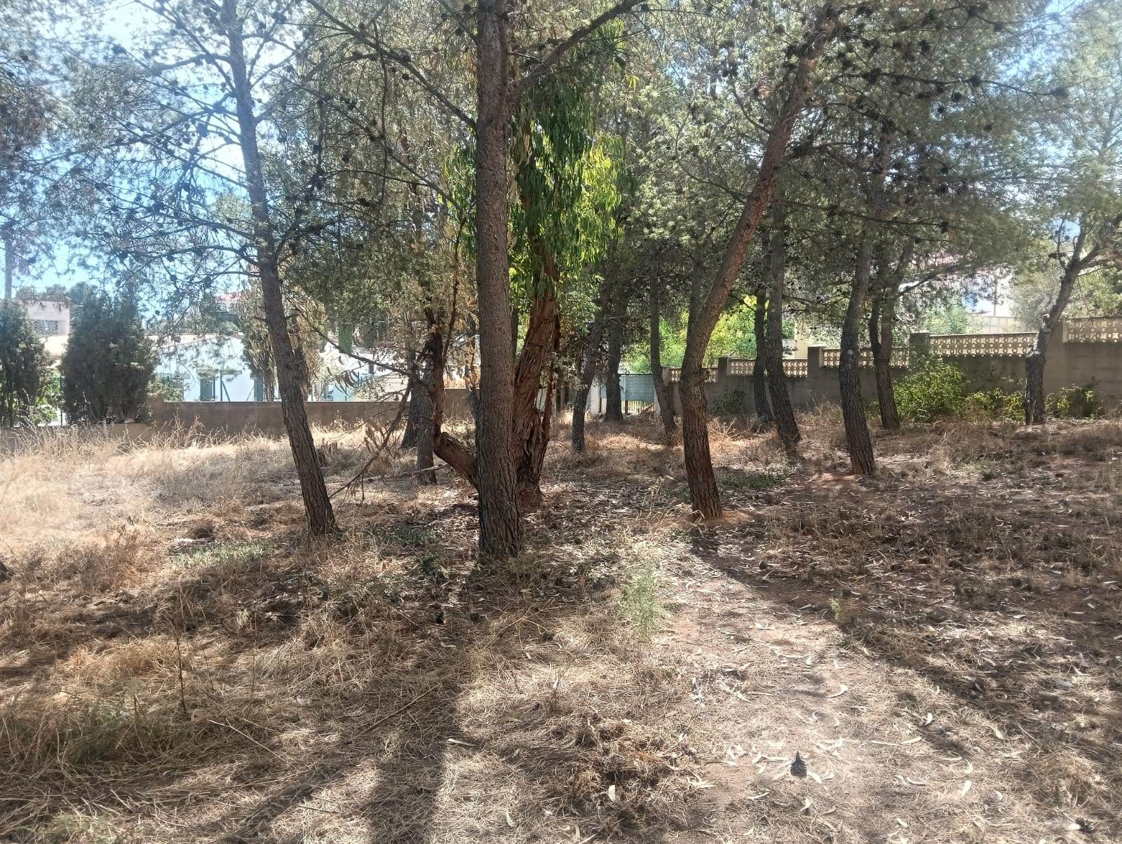 Investment property – a spacious villa with a large plot of land.