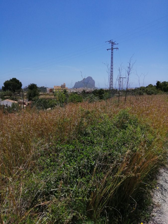 11,000 square meters of land for the construction of a house. Land with open and clear views of the Peñon de Ifach.