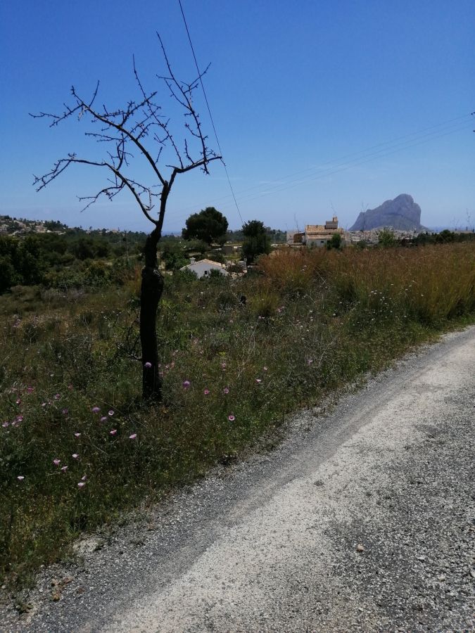 11,000 square meters of land for the construction of a house. Land with open and clear views of the Peñon de Ifach.