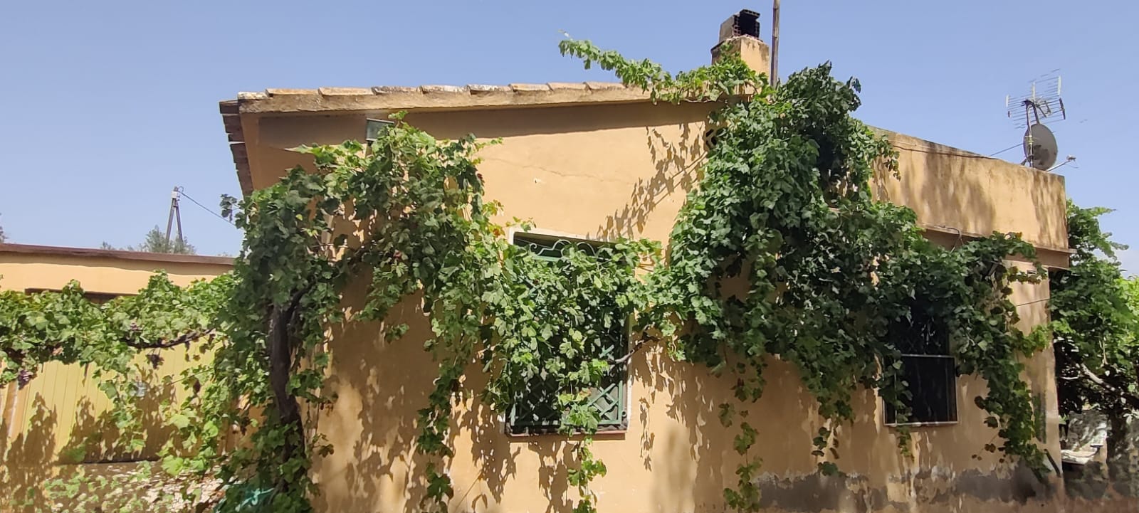 House with land
