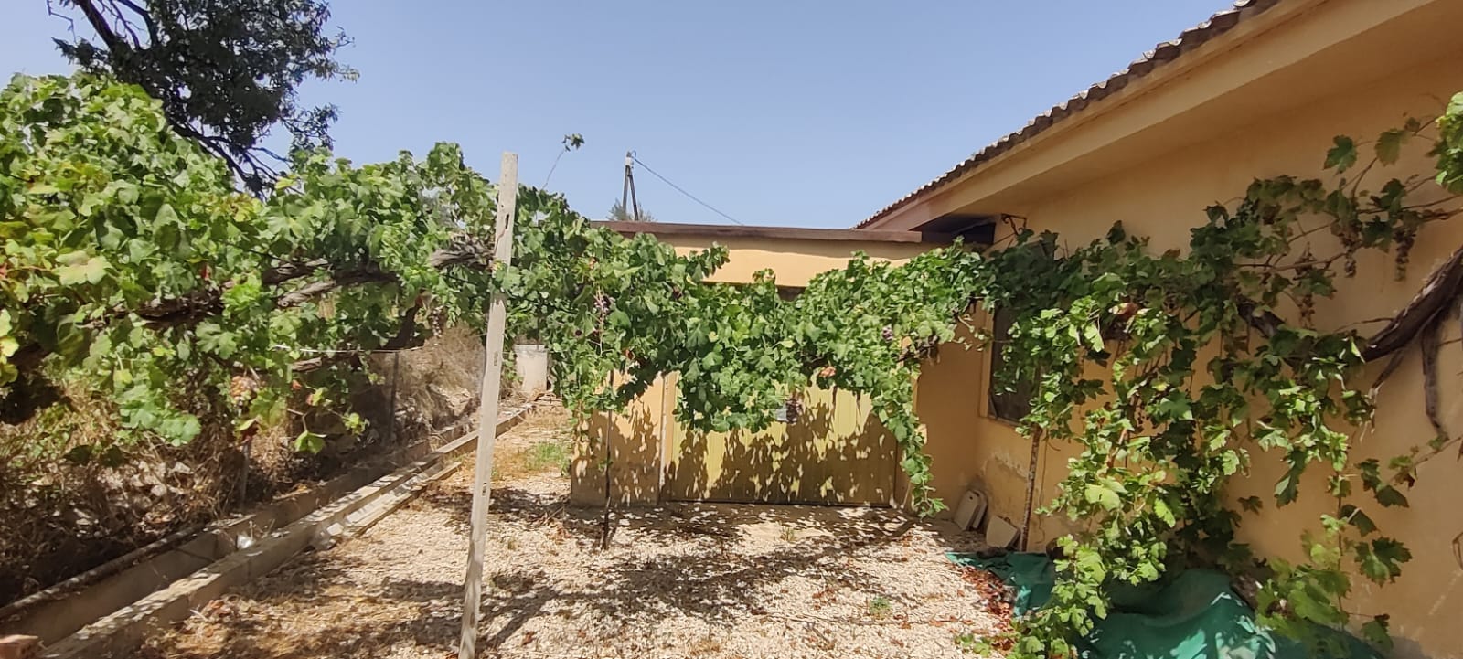 House with land
